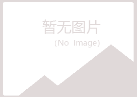 九江夏岚化学有限公司